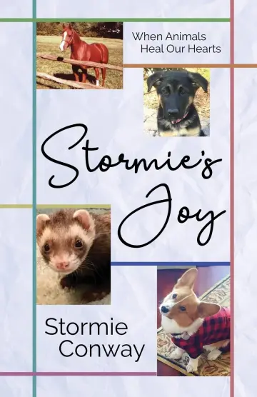 Cover of Stormie's Joy