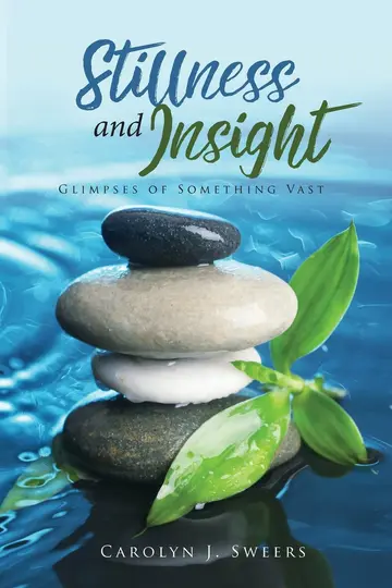Cover of Stillness and Insight