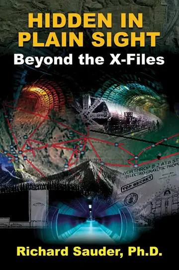 Cover of Hidden in Plain Sight