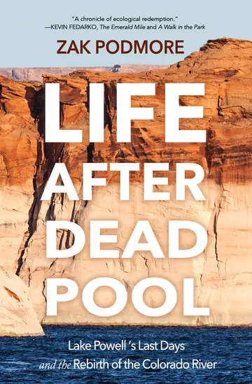 Cover of Life After Dead Pool