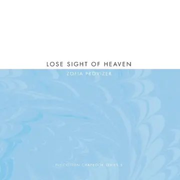 Cover of Lose Sight of Heaven