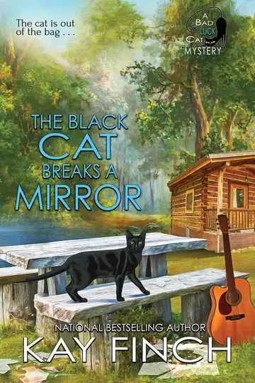 Cover of The Black Cat Breaks a Mirror