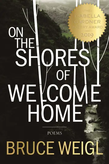 Cover of On the Shores of Welcome Home