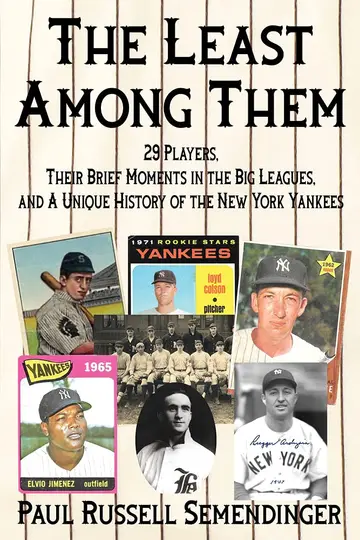 Cover of The Least Among Them