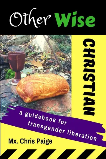 Cover of OtherWise Christian