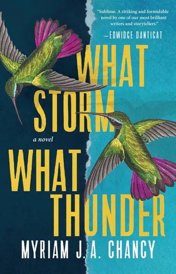 Cover of What Storm, What Thunder