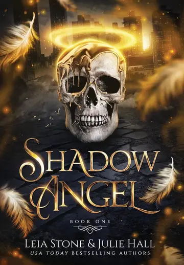 Cover of Shadow Angel