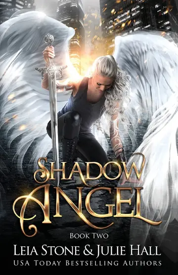 Cover of Shadow Angel
