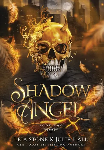 Cover of Shadow Angel