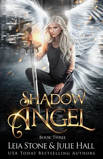 Cover of Shadow Angel