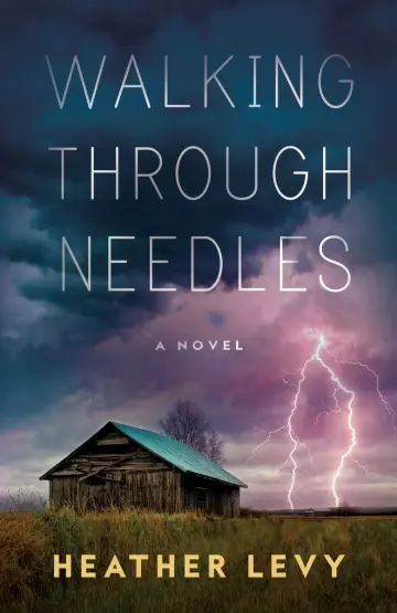 Cover of Walking Through Needles
