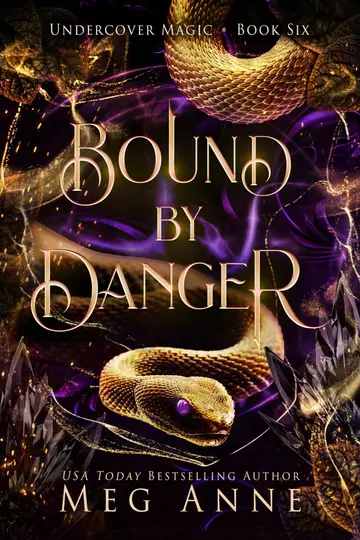 Cover of Bound by Danger