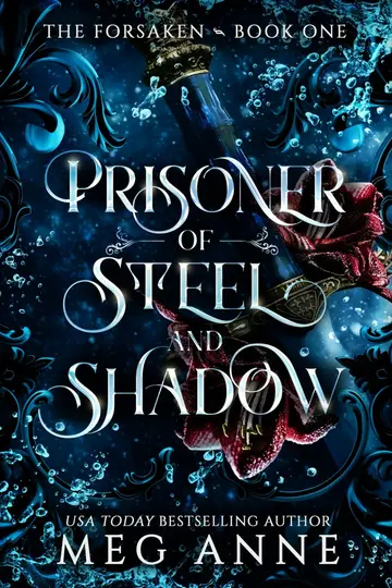 Cover of Prisoner of Steel and Shadow