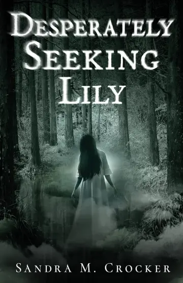 Cover of Desperately Seeking Lily
