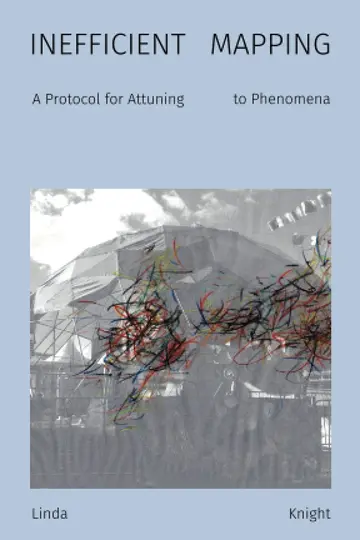 Cover of Inefficient Mapping