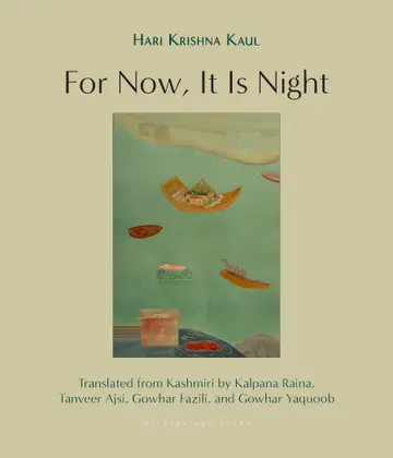 Cover of For Now, It Is Night