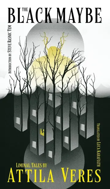 Cover of The Black Maybe