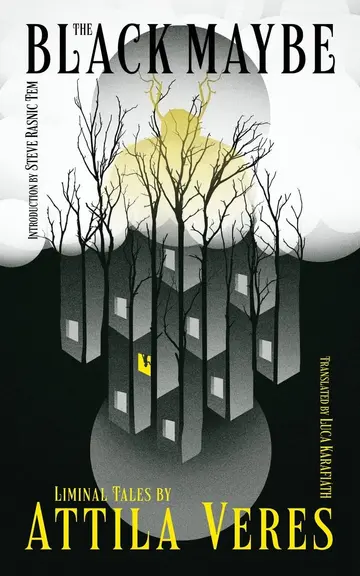 Cover of The Black Maybe