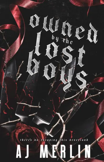 Cover of Owned by the Lost Boys
