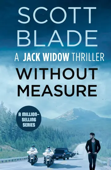 Cover of Without Measure
