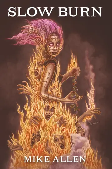 Cover of Slow Burn