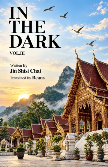 Cover of In the Dark