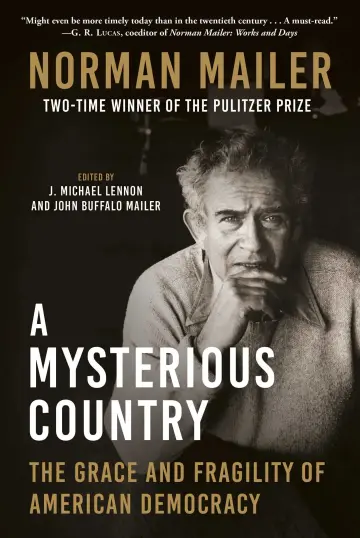 Cover of A Mysterious Country