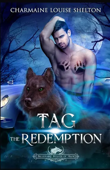 Cover of Tag the Redemption