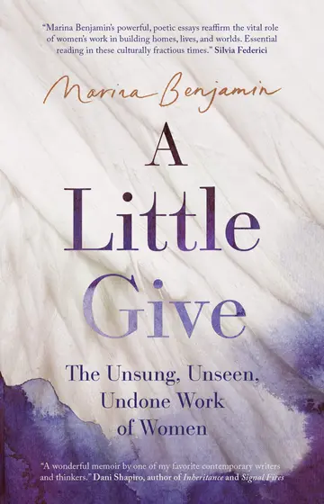 Cover of A Little Give