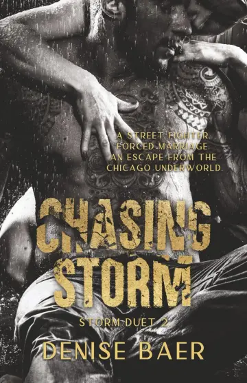 Cover of Chasing Storm