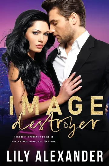 Cover of Image Destroyer