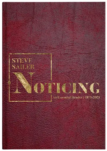Cover of Noticing