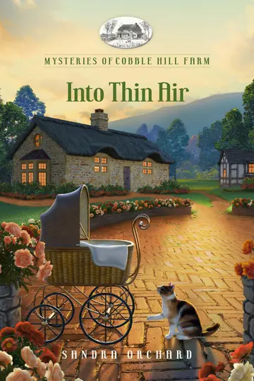 Cover of Into Thin Air