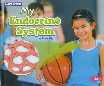 Cover of My Endocrine System