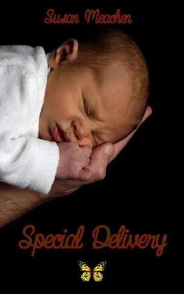 Cover of Special Delivery