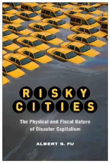 Cover of Risky Cities