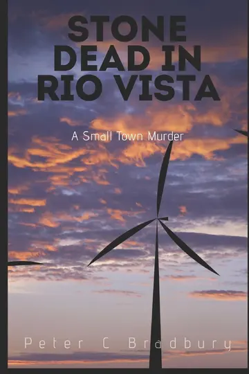 Cover of Stone Dead in Rio Vista