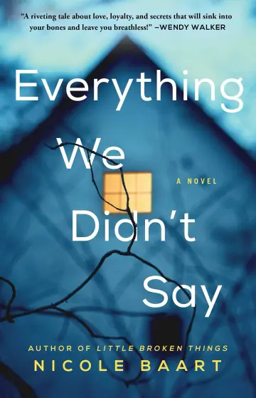 Cover of Everything We Didn't Say