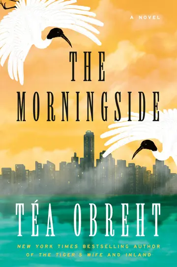 Cover of The Morningside