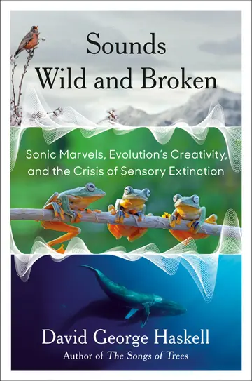 Cover of Sounds Wild and Broken