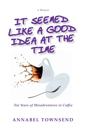 Cover of It Seemed Like a Good Idea at the Time