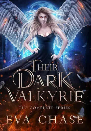 Cover of Their Dark Valkyrie