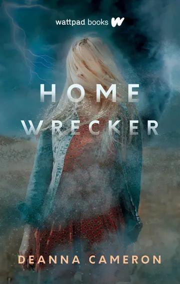 Cover of Homewrecker