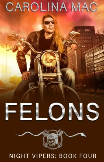 Cover of Felons