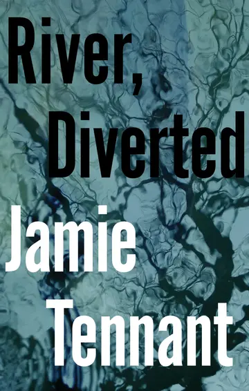Cover of River, Diverted