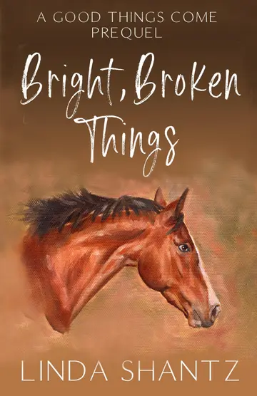 Cover of Bright, Broken Things