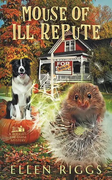 Cover of Mouse of Ill Repute