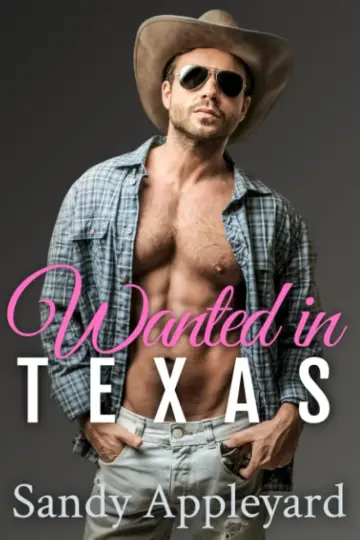 Cover of Wanted in Texas