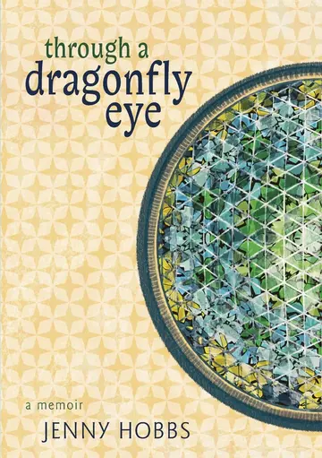 Cover of Through a dragonfly eye