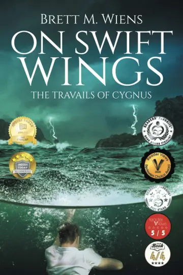 Cover of On Swift Wings
